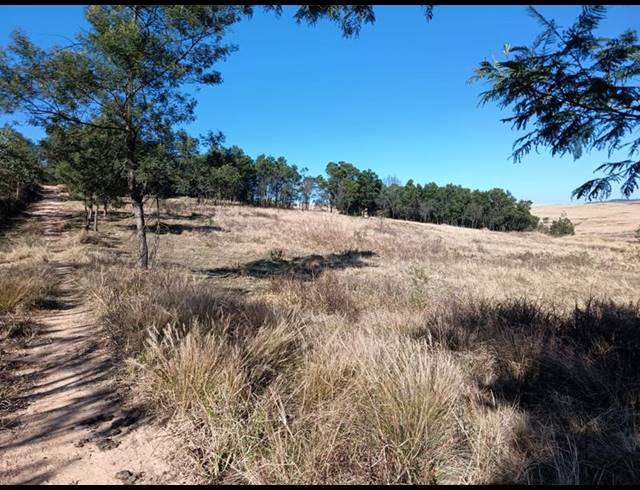 LAND FOR SALE IN NEW HANOVER RURAL